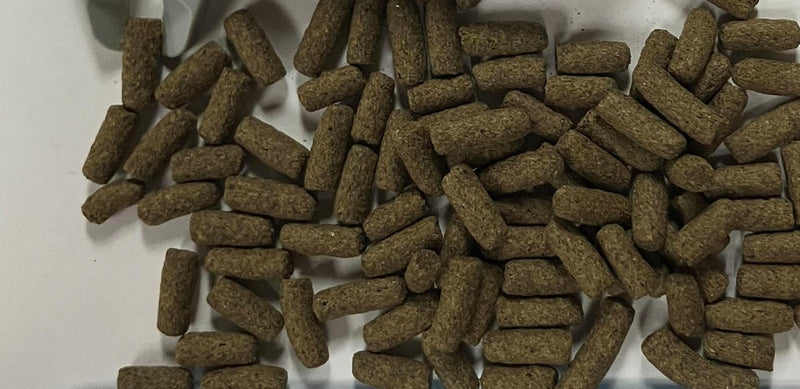 Close-up of Archelon pellets; food format shown, not a species photograph
