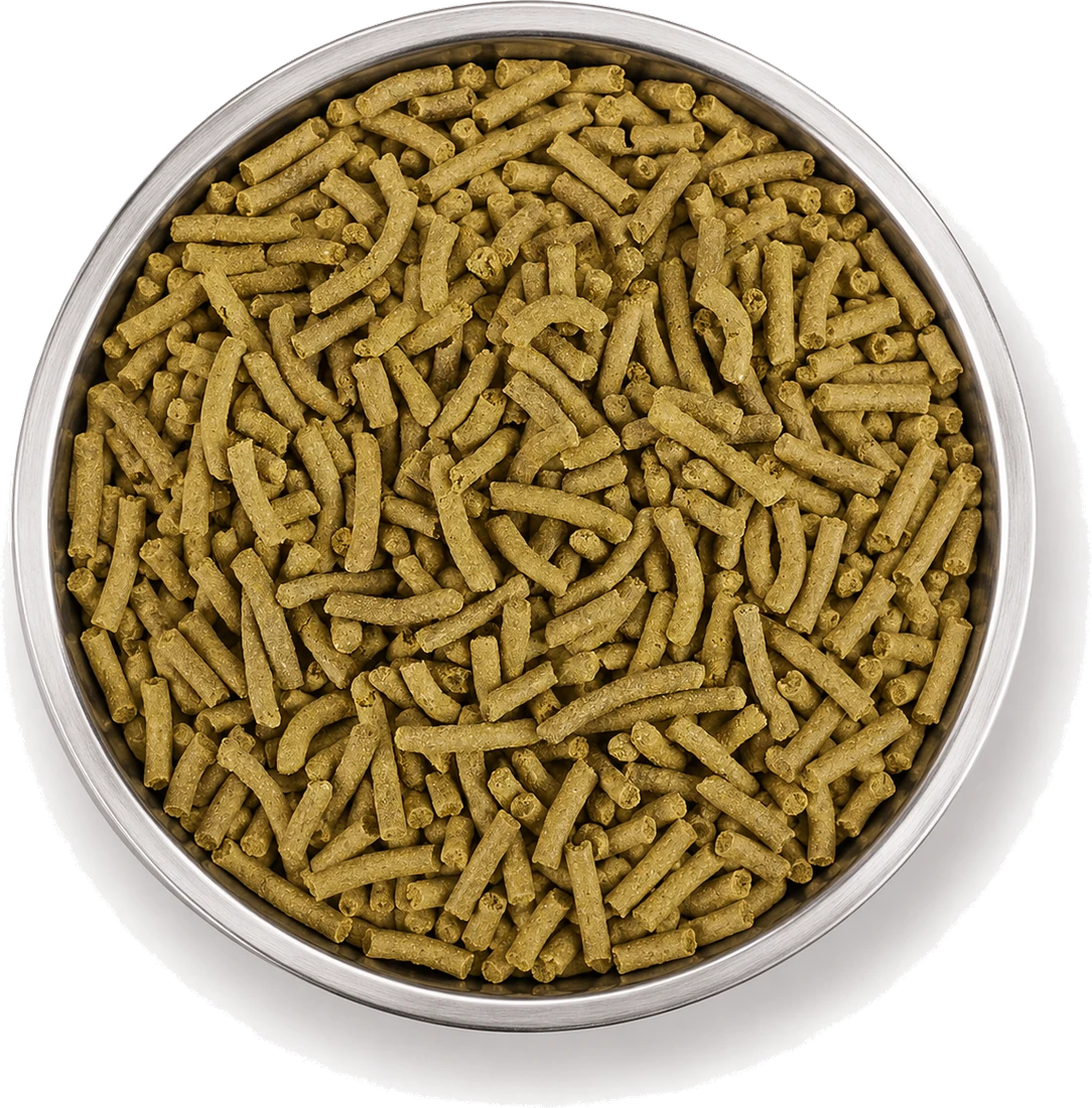 A bowl of Archelon aquatic turtle food