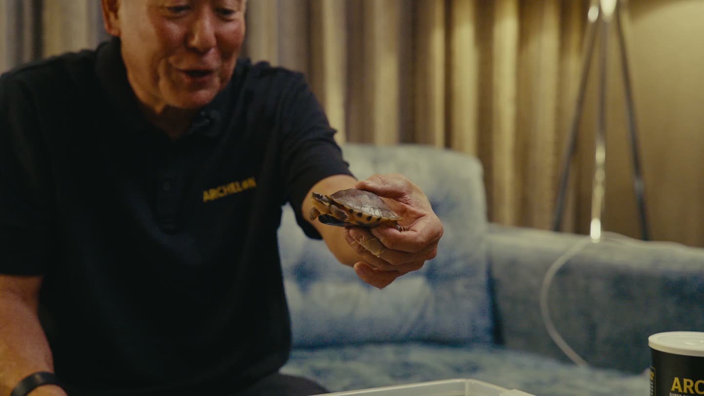 Eric Akaba holding a young golden coin turtle