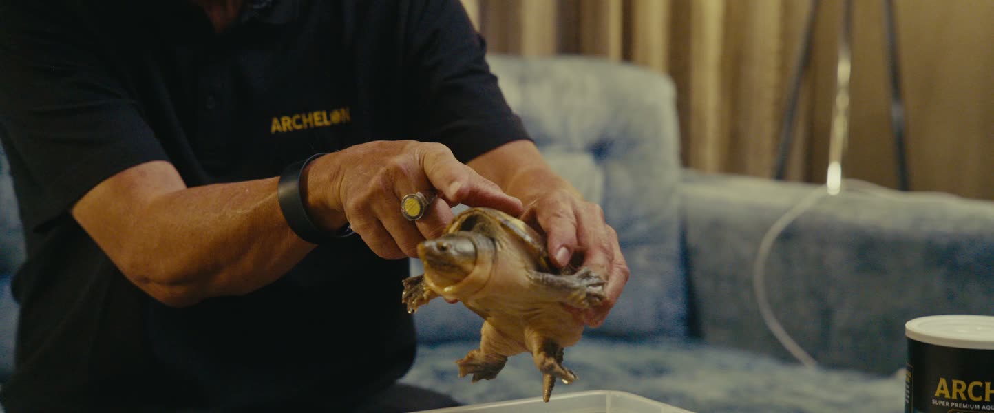 Eric Akaba holding one of his musk turtles