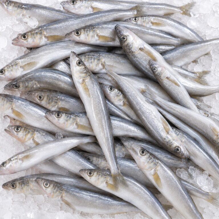 Pacific Whiting ingredient image