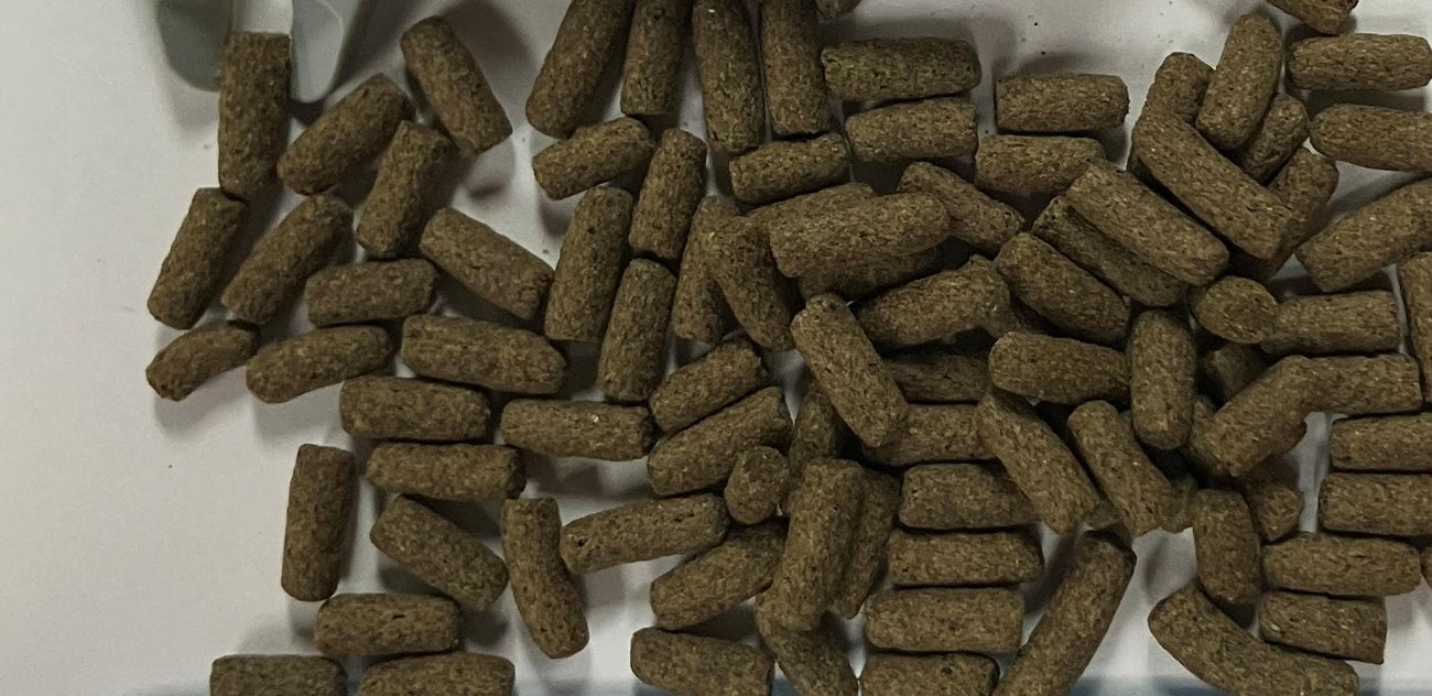 Close-up of Archelon 3.0 mm floating turtle pellets